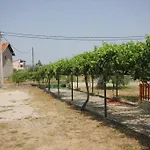 度假居 House With A Parking Space Kraj, Pasman - 8258